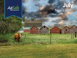 jul2025-01 July 2025