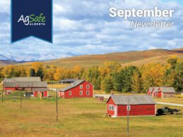 sep2025-01-opt September 2025