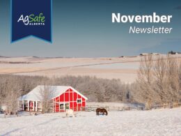 nov2025-01 nov2025-01