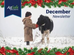 dec2025-01 December 2025